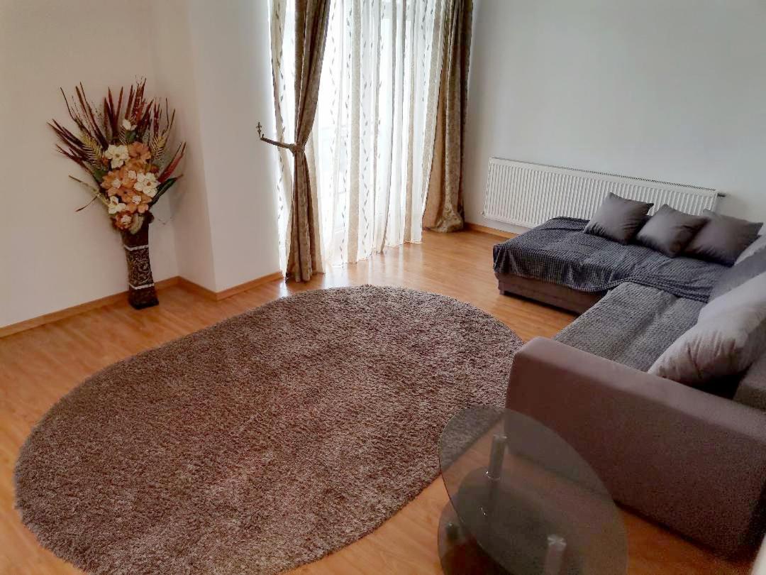 Apartament Selimbar シビウ エクステリア 写真