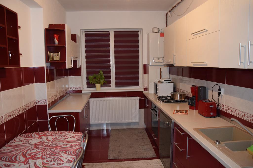 Apartament Selimbar シビウ エクステリア 写真