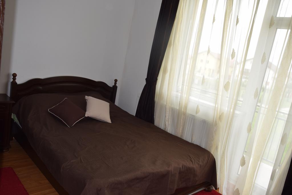 Apartament Selimbar シビウ エクステリア 写真